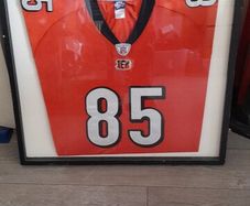 Poster Cincinnaty Bengals t shirt in frame
