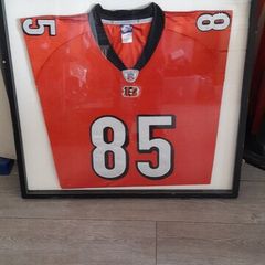 Poster Cincinnaty Bengals t shirt in frame