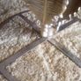 unusual gold leaf mirror top side table Image 6