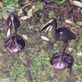Stunning Pair Of Bronzed Metal Water Cranes Image 4