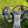 Lady bicycle "Carnielli" Image 6