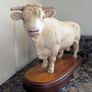 Royal Doulton Charolais Bull Image 2