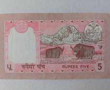 Nepalese Banknotes