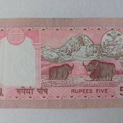 Nepalese Banknotes