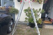 step ladder