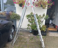 step ladder