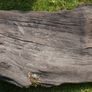 Antique Bog Oak - Garden Decoration Image 10