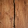 Walking stick Image 2