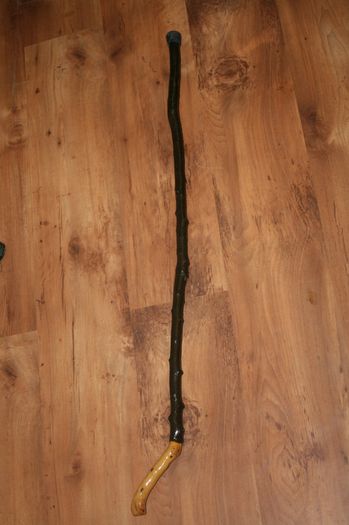 Walking stick