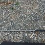 Wilson sharpshooter pitching wedge Image 4
