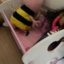 cot and pram Image 2