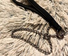Durable Metal Chain Dog Leash Strong & Comfortable