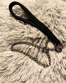 Durable Metal Chain Dog Leash Strong & Comfortable