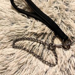 Durable Metal Chain Dog Leash Strong & Comfortable