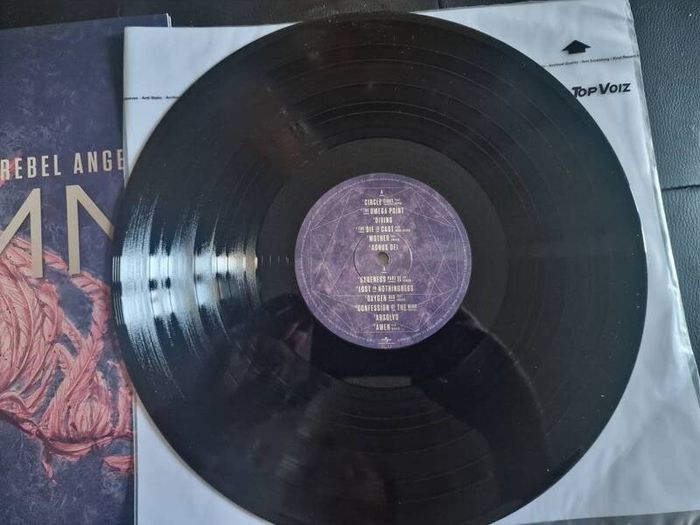 Enigma - The Fall of a Rebel Angel Vinyl Album