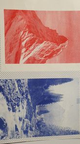 Wilderness I by Eimearjean McCormack Risograph Print
