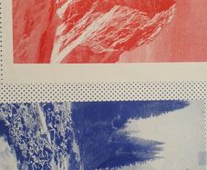 Wilderness I by Eimearjean McCormack Risograph Print