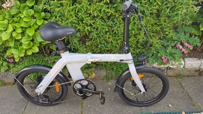 Fiido folding electric bike D11