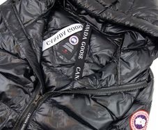 Canda Goose Crofton