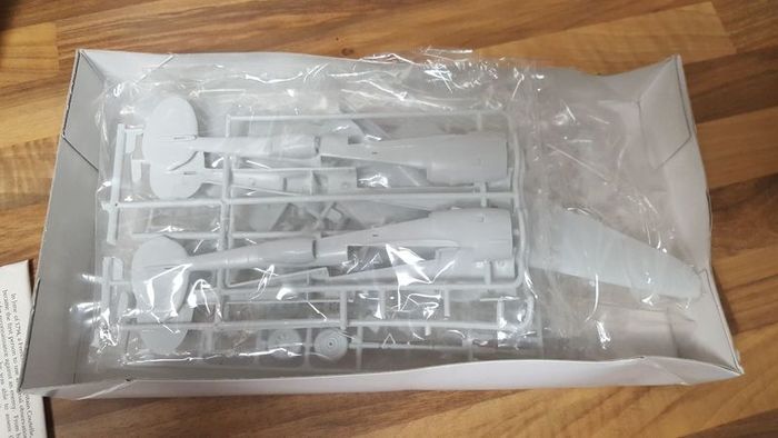 Lockheed F-5E Lightning model kit