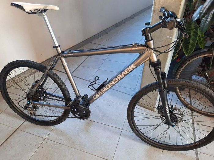 Hybrid Bike