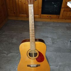 Freshman FA400D acoustic guitar