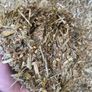 Whole Crop Wheat Image 4