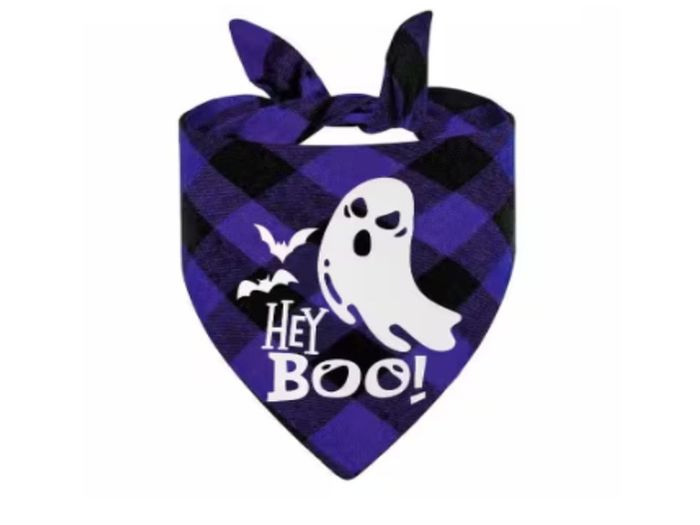 Halloween Decorations
