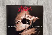 Aslan Vinyl