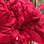 Kids Single Christmas "Elf on the Shelf" Duvet Cover Set with Matching Fitted Sheet Image 3
