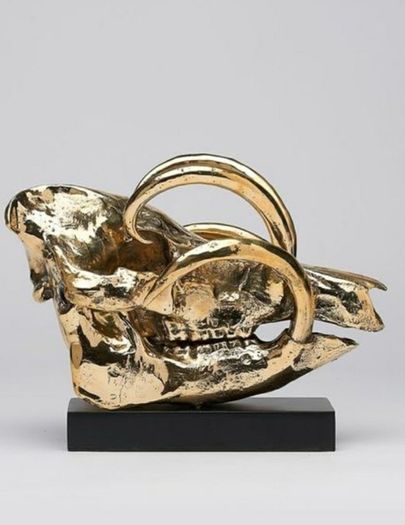Wild Pig Skull (30cm) - Polished Bronze