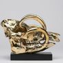 Wild Pig Skull (30cm) - Polished Bronze Image 5