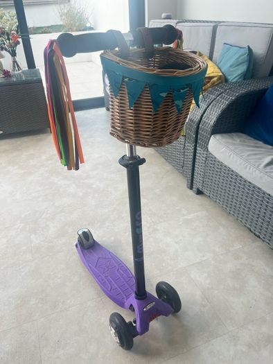 Micro scooter