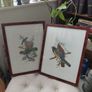 Antique lithograph prints hand painted by John Gould beautifully framed Image 8
