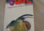 Padi Learn to Dive Videos x 2 for Sale