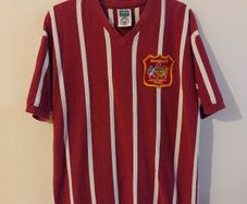 manchester city jersey