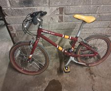 Raleigh Pop 20 inch kids bike.