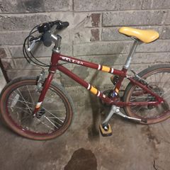 Raleigh Pop 20 inch kids bike.