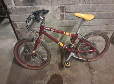 Raleigh Pop 20 inch kids bike.