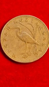 Hungarian Coin