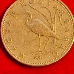 Hungarian Coin