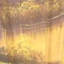 50" Hand Painted Japanese/Chinese Fan Image 9