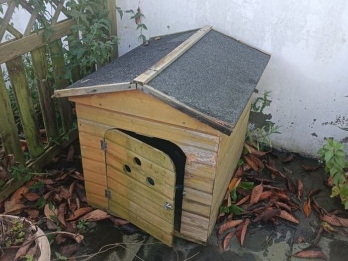 Dog kennel and plastic bed