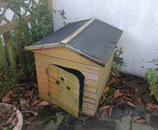 Dog kennel and plastic bed