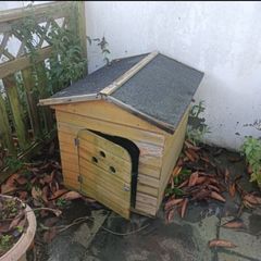 Dog kennel and plastic bed