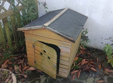 Dog kennel and plastic bed