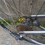 Adult bicycle (Giant) Image 4
