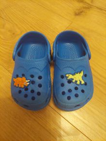 Dunnes dinosaur crocs (Size 5)