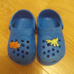 Dunnes dinosaur crocs (Size 5)