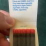 camel matches Image 3